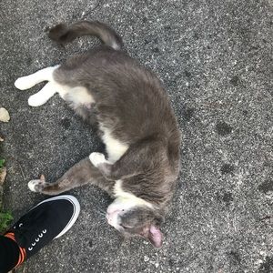 Meet your Posher, Courtney